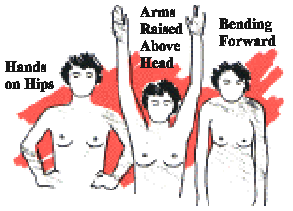 Different Postures for Visual Inspection