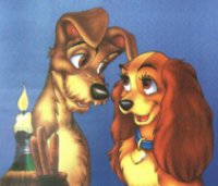 Mononucleosis = 'The Kissing Disease', although there are many other ways of catching it as well.