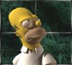 Homer Simpson