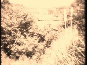 the old railroad tracks of marin county
