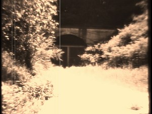 the old railroad tracks of marin county